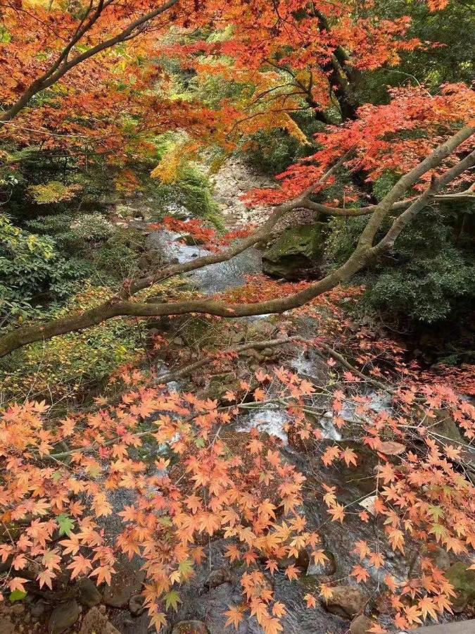 Hotel Hoshi no Sato Kirishima Esterno foto